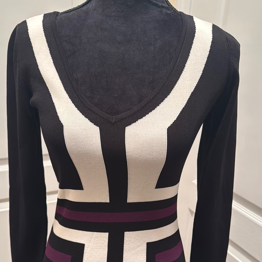 NWOT INC International Concepts Black and White Dress with Purple Details - Picture 6 of 7